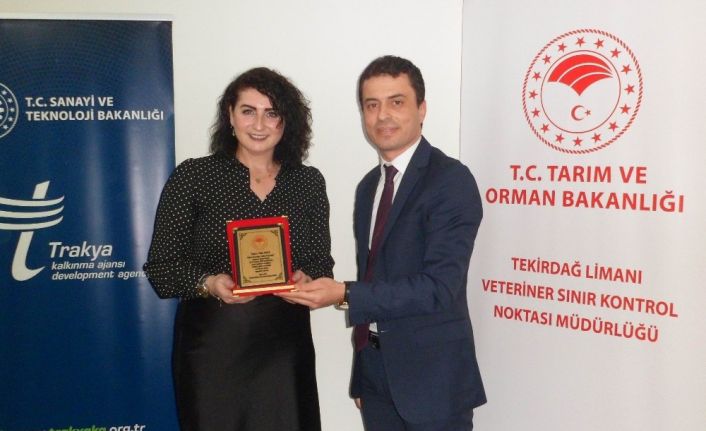 Sınır  noktası personellerine “Etkili Sunum Teknikleri Eğitimi”