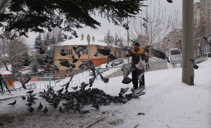 Tosyalı Esnaflar Kuşlara Yem Bıraktı