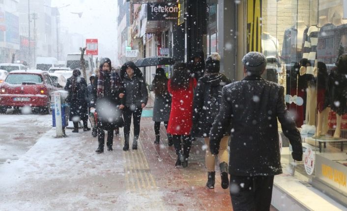 Van’da lapa lapa kar yağışı