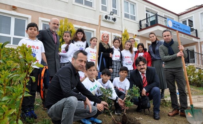 Çeşmeli öğrenciler Sakız Ağacı dikti