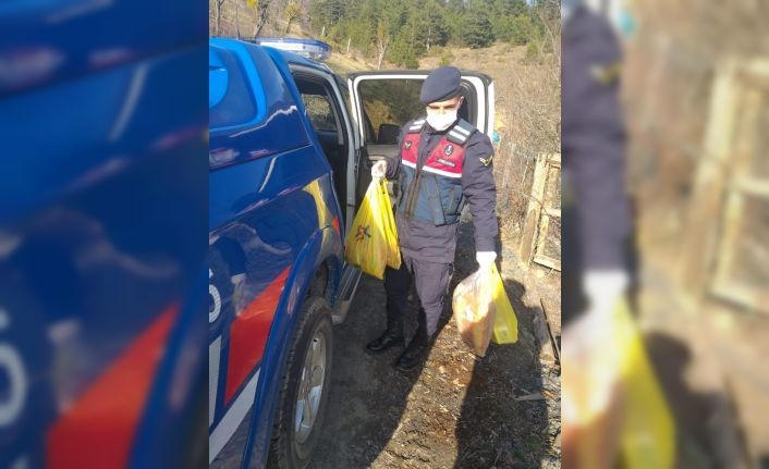 Daday’da evinde kalan yaşlıların ihtiyaçları jandarma tarafından karşılandı