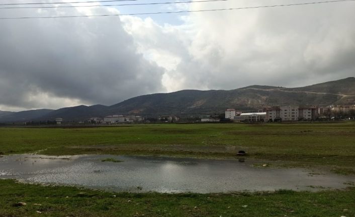 Gercüş’te aşırı yağış ekili alanları vurdu