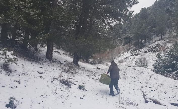 Kastamonu’da yaban hayvanları için doğaya yem bırakıldı