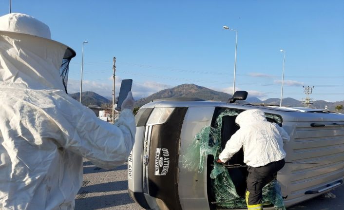 Kaza yapan kamyonetteki arılar ekiplere zor anlar yaşattı