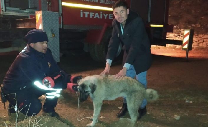 Konya’da köpek kurtarma operasyonu