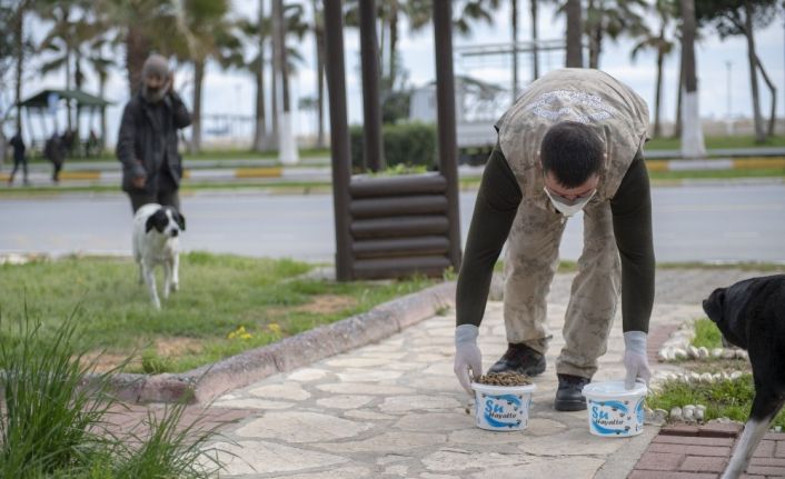 Mersin’de sokak hayvanları için birçok noktaya mama bırakılıyor