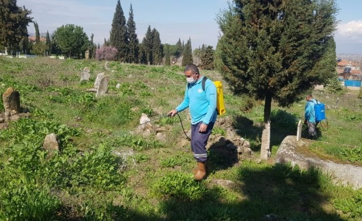 Mezarlıklardaki yabancı otlar ilaçlanıyor