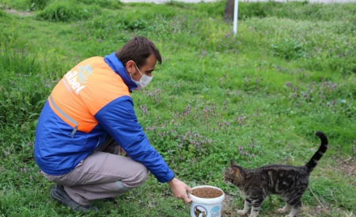 Nilüfer’de can dostları unutulmuyor