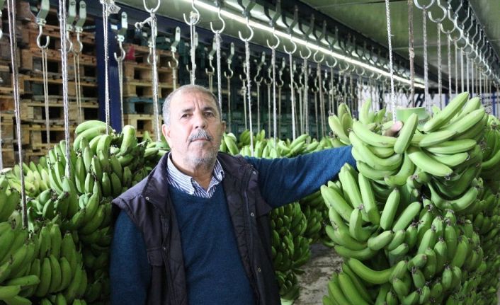 Okullarda muz tüketimine üreticilerden tam destek