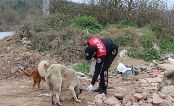 Polisler sokak hayvanlarına mama bıraktı