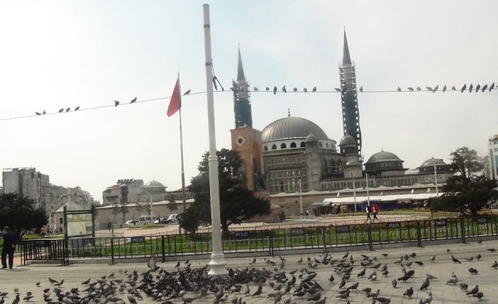 Taksim Meydanı kuşlara kaldı