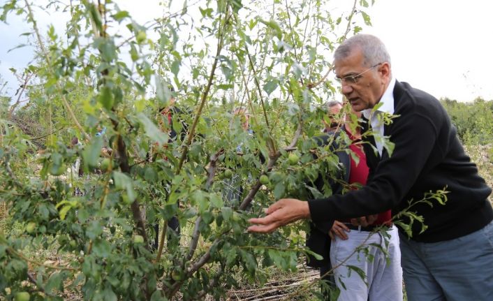 Tarhan, afetzede üreticiler için destek istedi