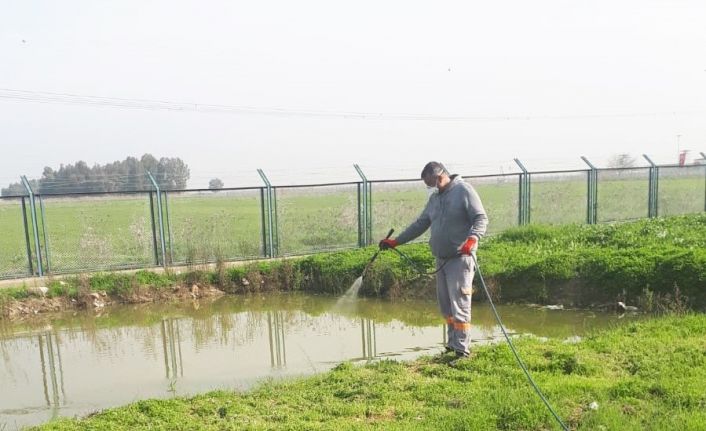 Tarsus’ta kamuya açık alanlar ve okullarda ilaçlama çalışmaları