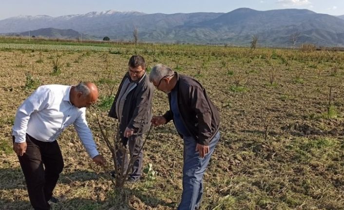 Üreticilerin gözü don ve soğuk tehlikesinde