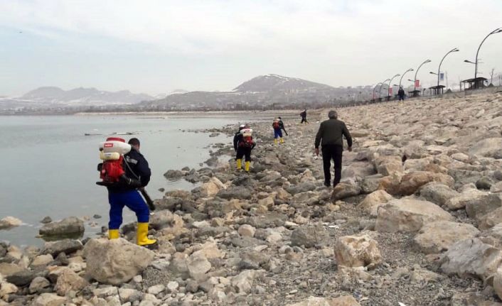 Van’da ilkbahar dönemi vektörle mücadele çalışması