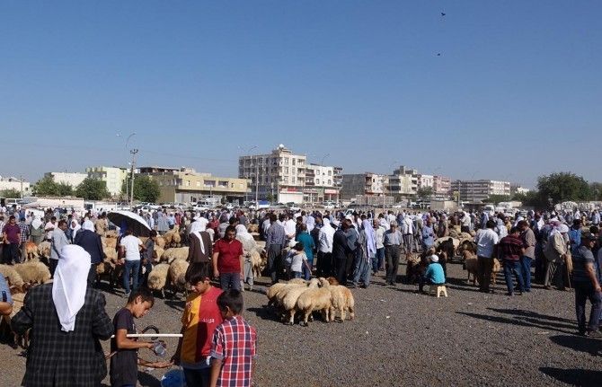 Viranşehir’de hayvan pazarı kapatıldı