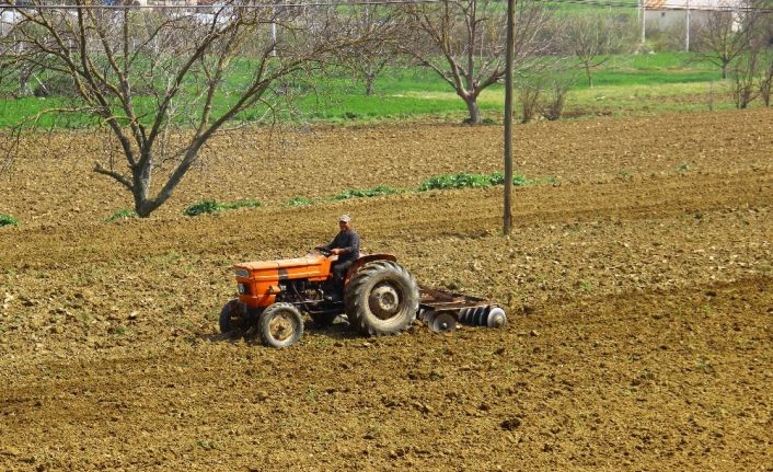 Yasakla birlikte, Aydın’da tarım arazilerinin çehresi değişti