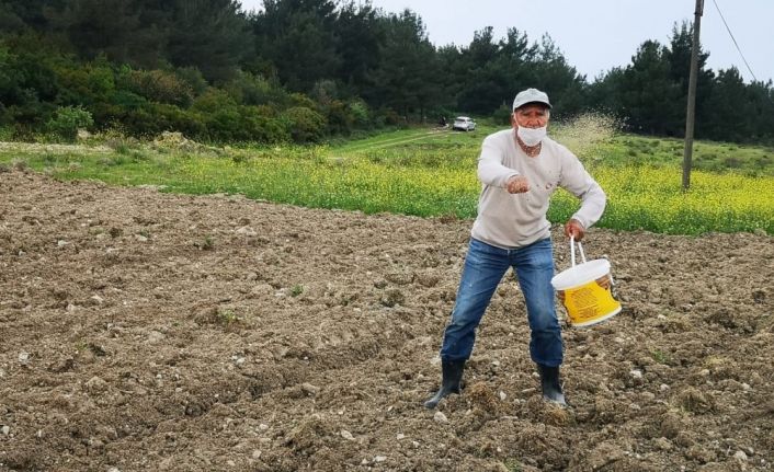 Aliağa’da susam çeşitleri analiz sonrasında toprakla buluştu