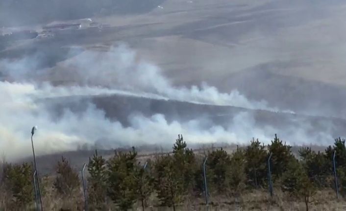 Ardahan’da orman yangını