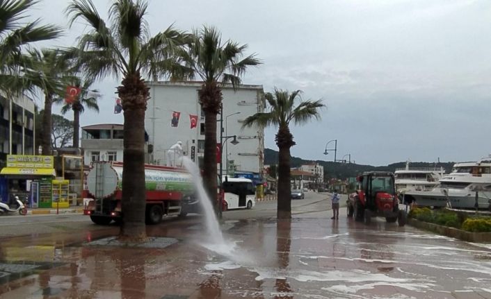 Ayvalık’ta dezenfeksiyon çalışmaları aralıksız sürüyor