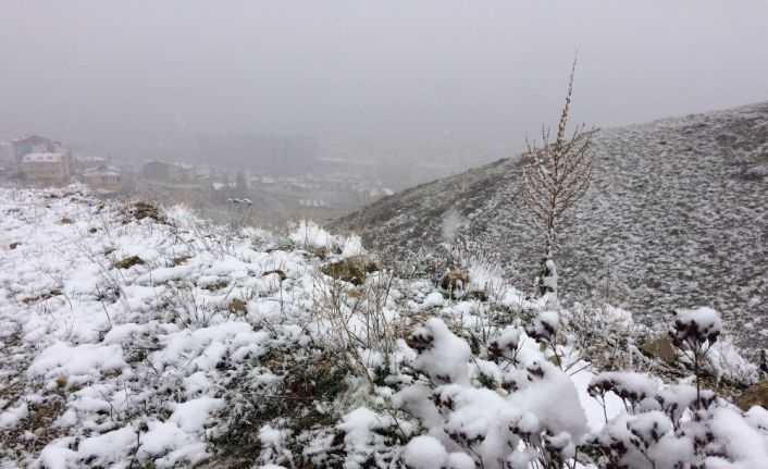 Bayburt’ta Nisan ayının sonuna doğru kar yağışı