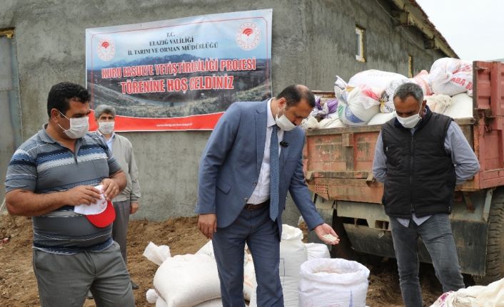 Bermaz Ovası’nda "Gezin Fasulyesi"  için tohum desteği