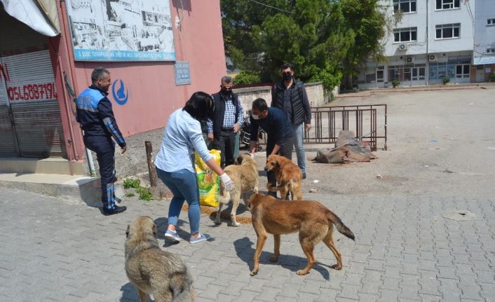 Boş sokakların keyfini çıkarıyorlar