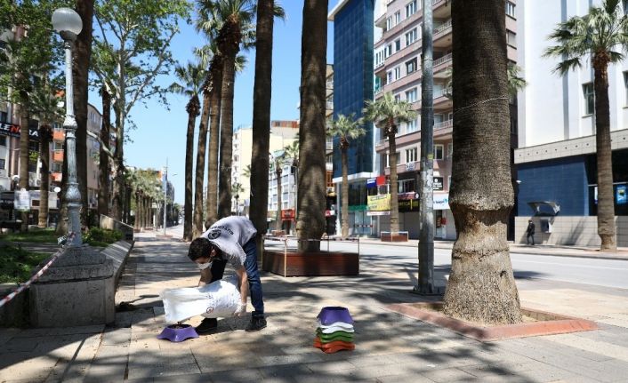 Büyükşehir belediyesi sokak hayvanlarını unutmadı