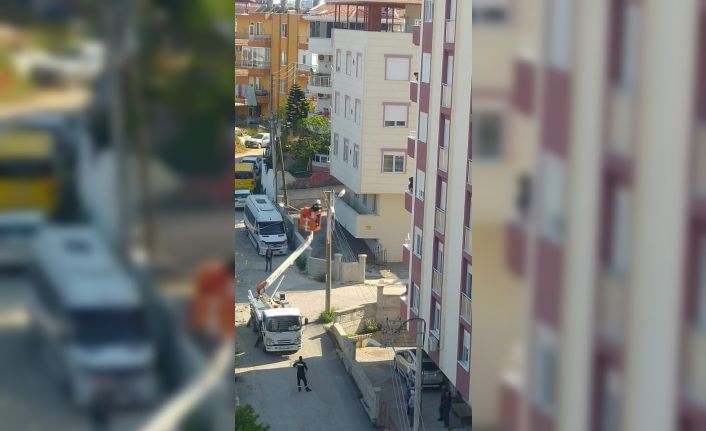 Camdan silkelediği halı, elektrik direğine asılı kaldı