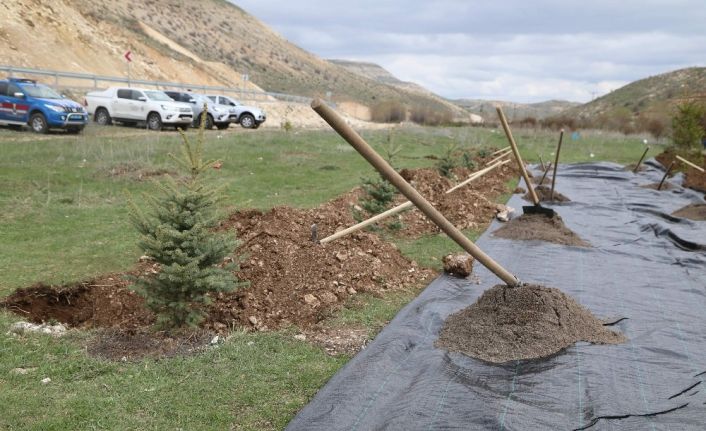 Doğan her bebek  için bir fidan dikilecek