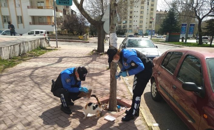 Elazığ polisi, sokak hayvanları için görevde