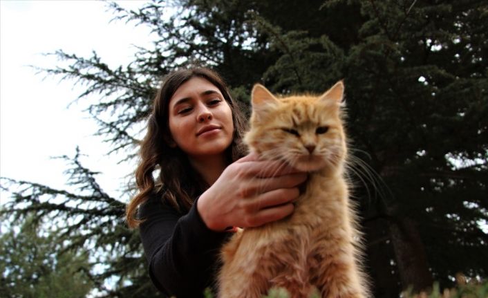 Elazığ’da üniversite öğrencisi, sokak hayvanlarını besliyor