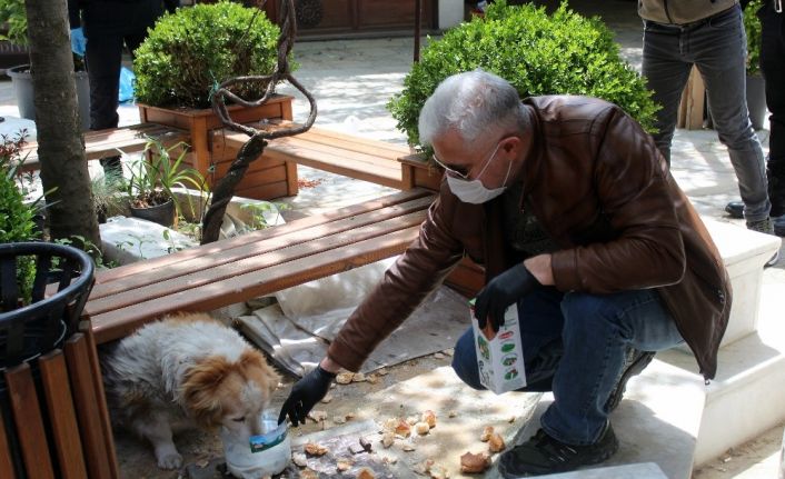 Emniyet müdürü aç kalan köpekleri elleriyle besledi