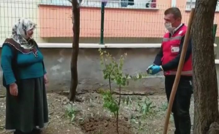 Evinden çıkamayan yaşlı kadın sosyal destek grubundan fidan istedi