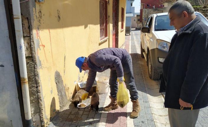 Gercüş’te sokak hayvanları için mama ve su bırakıldı