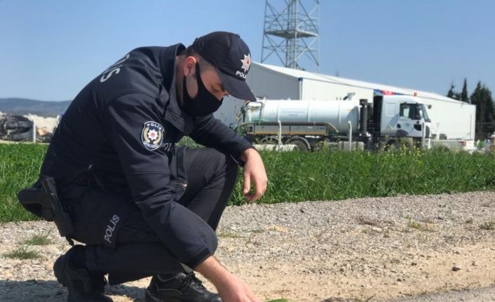 Gömeç’te sokak hayvanları, kaplumbağa ve kuşlara polis şefkati