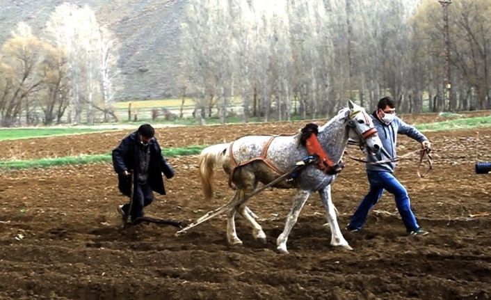 Kaymakam patates ekiminde çiftçiye eşlik etti