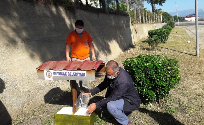 Kuyucak Belediyesi sokak hayvanlarının yanında