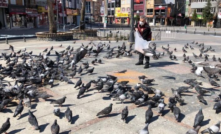 Meydanları mesken tutan güvercinleri polisler besledi