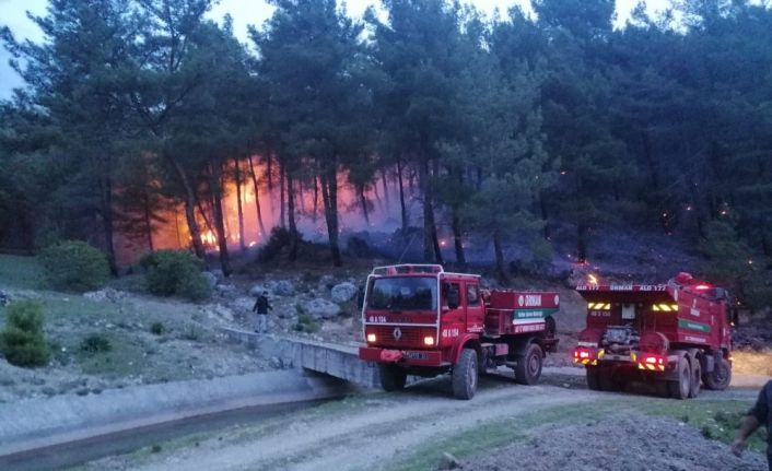 Muğla’da orman yangınları erken başladı