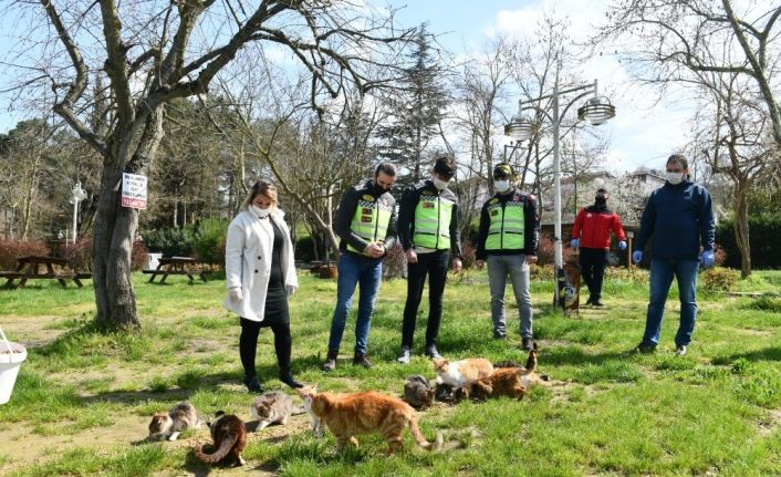 Mustafakemalpaşa’da sokak hayvanları unutulmadı