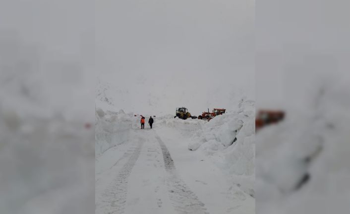 Nisan ayında 3 bin rakımlı Karapet Geçidi’nde karla mücadele