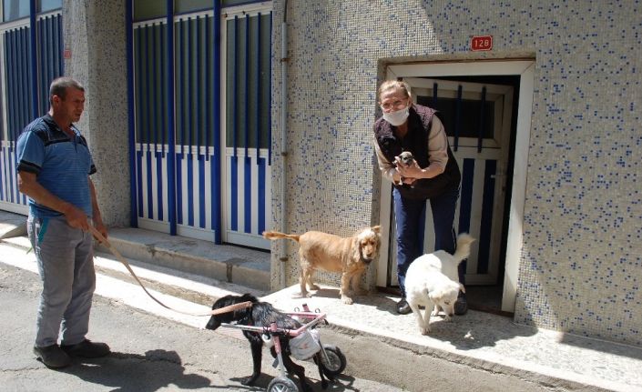 ‘Sinirden ellerim titriyor’ diyerek köpeğini ezen sürücüye tepki gösterdi