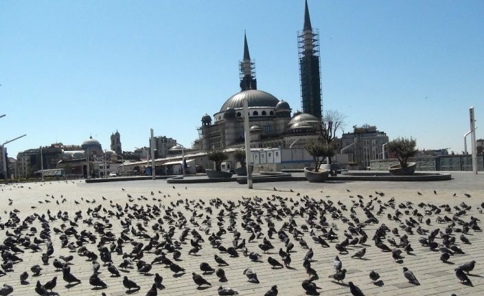 Sokağa çıkma yasağında Taksim Meydanı kuşlara kaldı