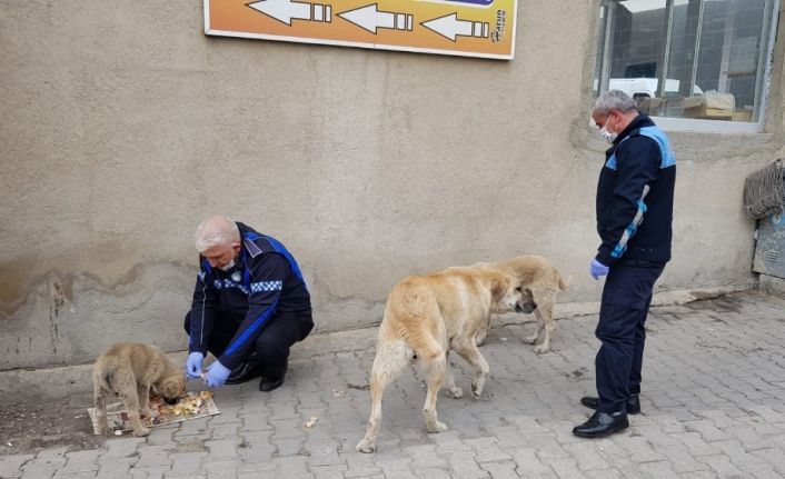 Sokak hayvanları unutulmadı