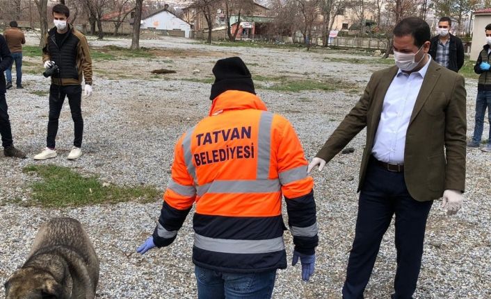 Tatvan’da sokak hayvanları için doğaya yiyecek bırakıldı