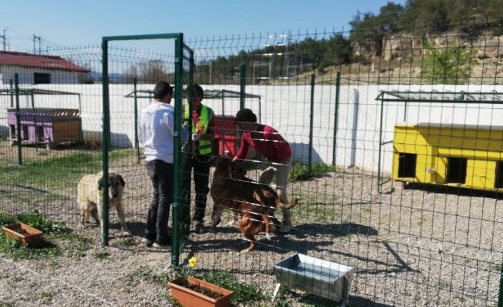 Türkiye’nin her yerine uzanan dost eli