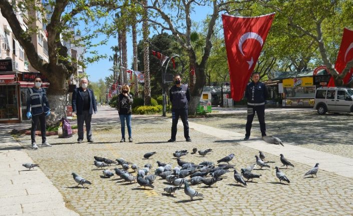 Ünlü tatil merkezinde sokak hayvanları aç kalmasın diye çabalıyorlar