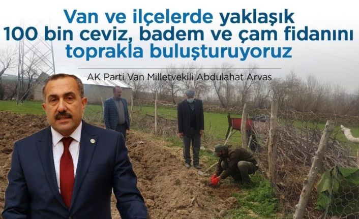 Van Milletvekili Arvas: “Yaklaşık 100 bin fidanı toprakla buluşturuyoruz”