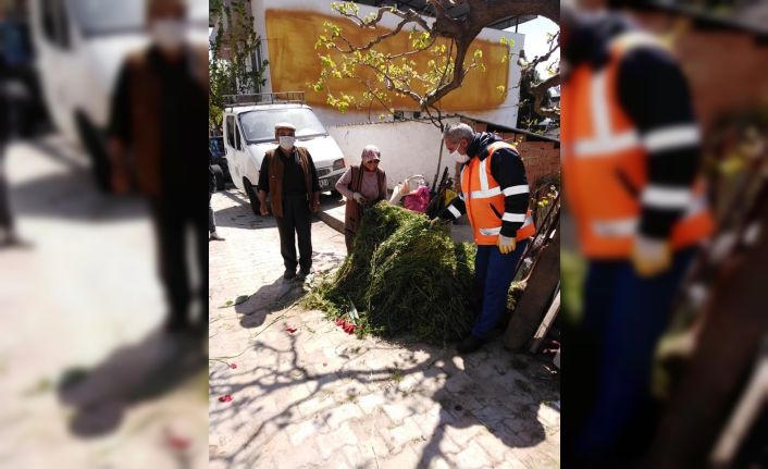 Vatandaş evden çıkamayınca, ineklerin otunu zabıta biçip getirdi